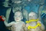 Fotogalerie - Baby swimming